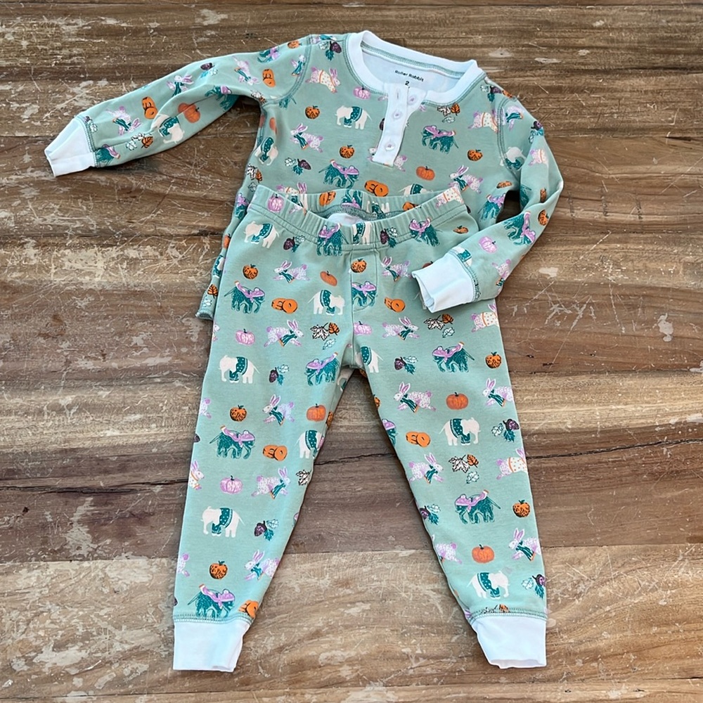 Roller Rabbit pajama set, 2T